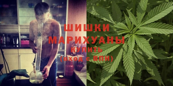 гашик Белокуриха